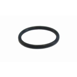 AE-76 O-ring