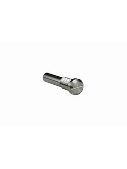 AV-09 Vulture Slide Stop Screw
