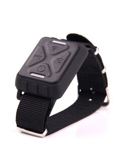 Remote Git2 Wrist Remote