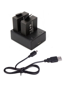 gitupcharger Dual Charger