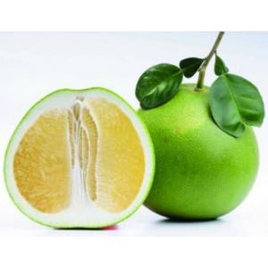 ส้มโอ (Pomelo)