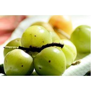 ผลไม้สด หายาก (Rare Fresh Fruits)