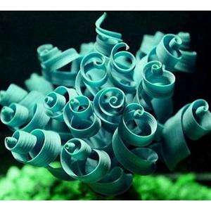 สไปรอล มิโมซ่า (Spiral Mimosa) เขียว / 50 เม็ด (นอก)