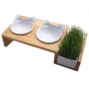 ของใช้สำหรับแมว