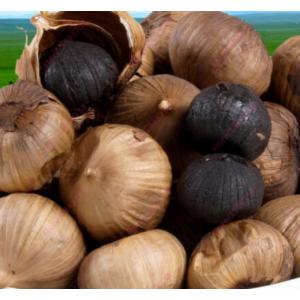 กระเทียม (Garlic) / กระเทียมดำ