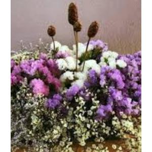 ดอกไม้แห้ง (Real Dry Flower)