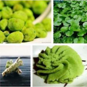 วาซาบิ (Wasabi / Horseradish)