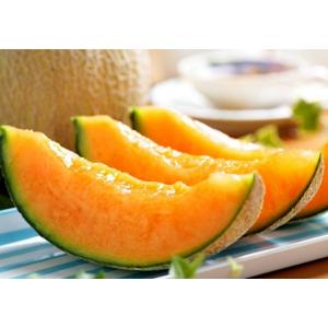 เมล่อน (Melon) / แคนตาลูป (Cantaloupe) / แคนตาลูปต้น (Tree Melon)
