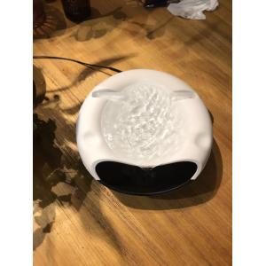 น้ำพุแมว