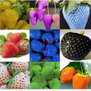 ไม้ผล (Fruits)