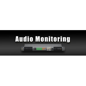 Audio Monitoring