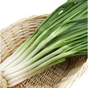 กุ๋ยช่าย / กระเทียมต้น (Leek)