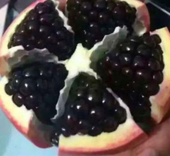 ทับทิมดำ (Black Pomegranate) / 10 เม็ด (Malaysia)