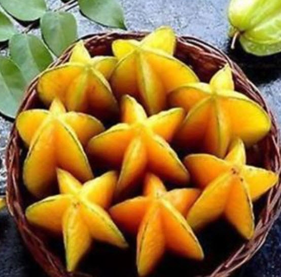 มะเฟือง (Carambola) ต้นเตี้ย / 25 เม็ด (นอก)