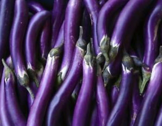 มะเขือยาวม่วง / 700 เม็ด (นอก)