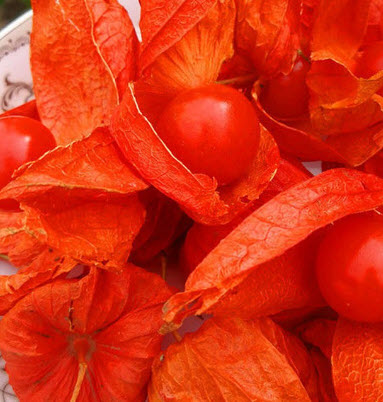 โทงเทงฝรั่ง เคพกูสเบอร์รี่ สีแดง / 30 เม็ด (China)