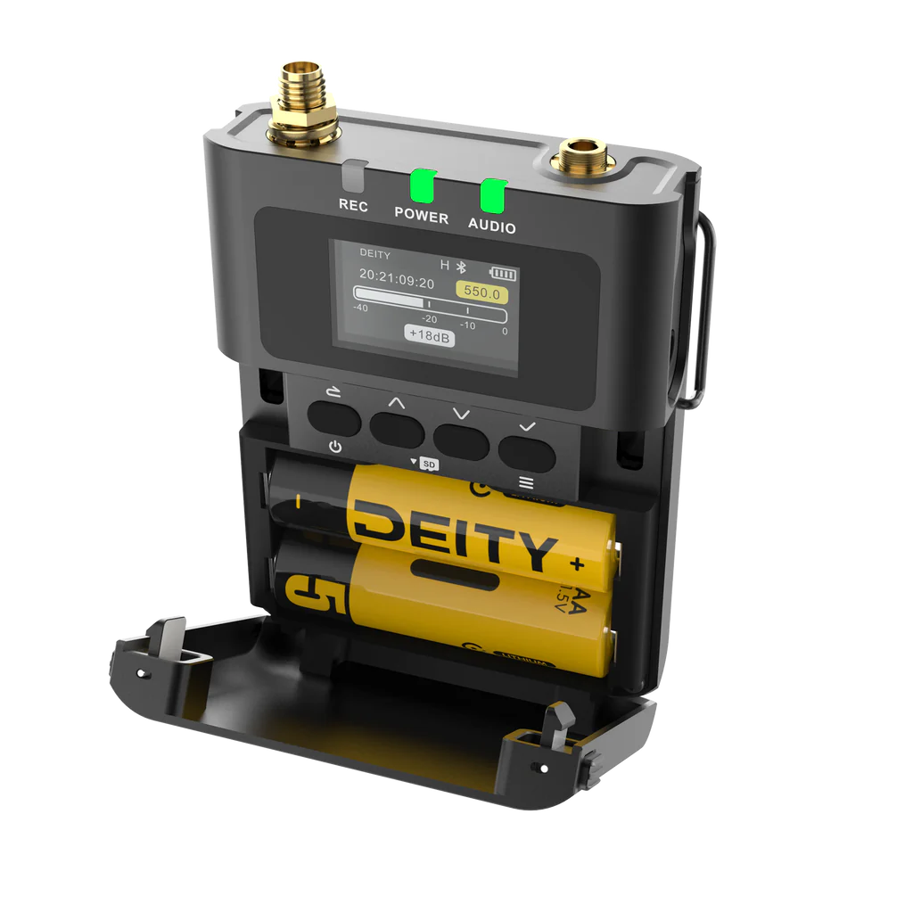 THEOS Digital Wireless 2ch Kit (US)