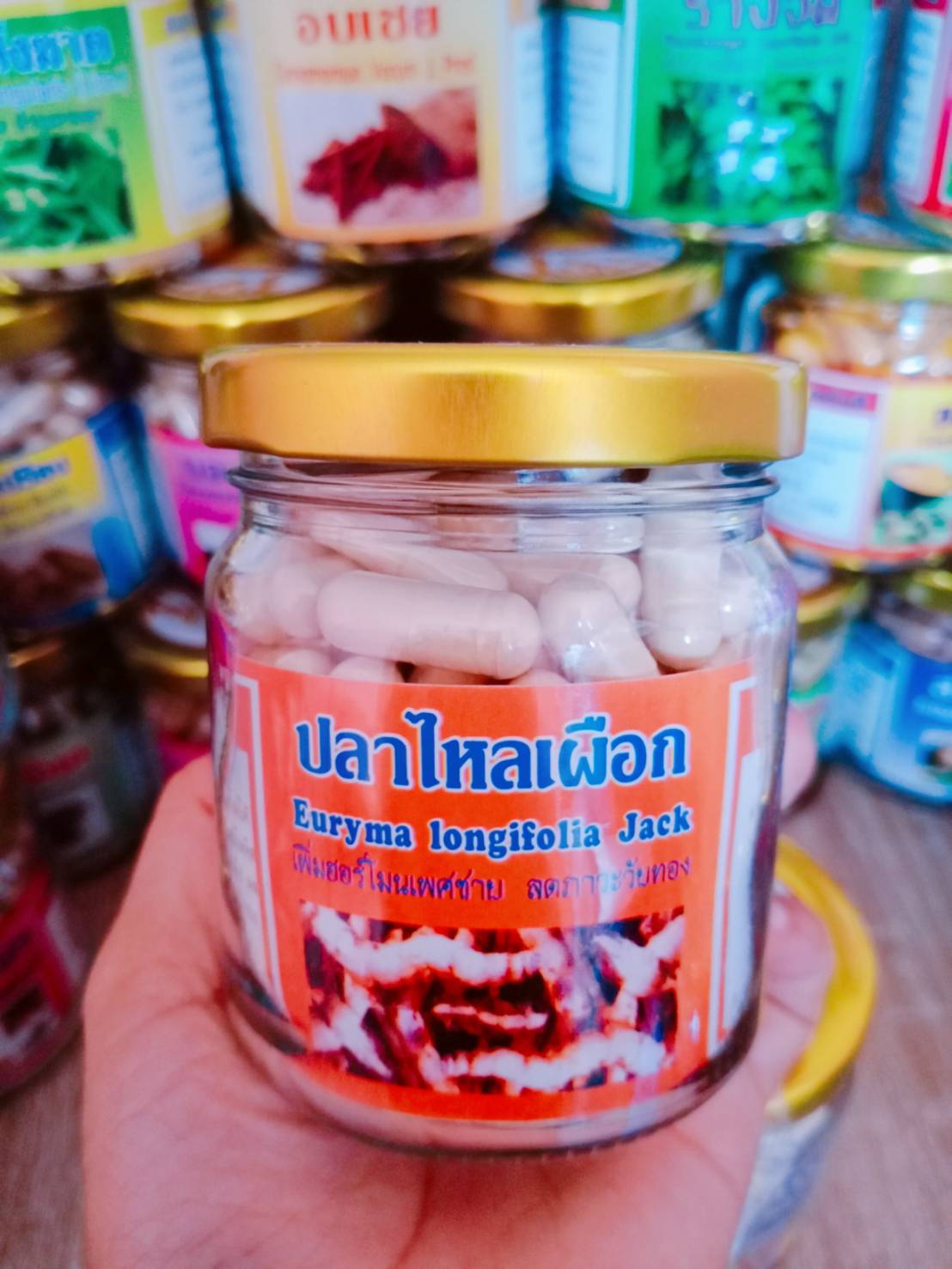 ปลาไหลเผือก พรหมรังสี