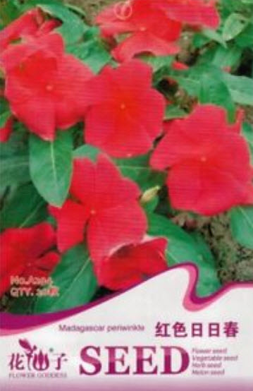 แพงพวย (Madagascar periwinkle) สีแดง / ซอง 20 เม็ด (A294)