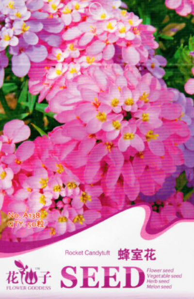 ร็อกเก็ท แคนดี้ทัฟท์ (Rocket Candytuft) คละ / ซอง 50 เม็ด (A138)