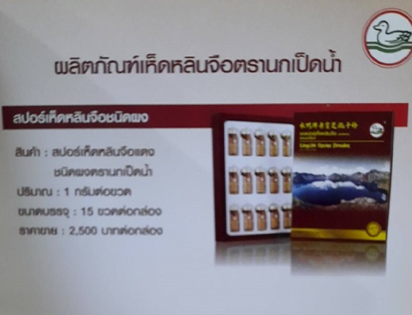 สปอร์เห็ดหลินจือแดงชนิดผง ตรานกเป็ดน้ำ มะเร็ง แพ้คีโม เนื้องอก ภูมิคุ้มกัน หอบ หืด รูมาตอยด์ เบาหวาน ความดัน บำรุงตับ หัวใจ