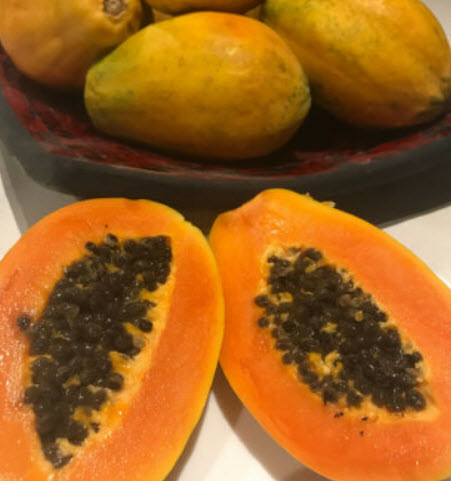 มะละกอแดงฟิจิ (Fijian Red Papaya) / 3 เม็ด (Australia)