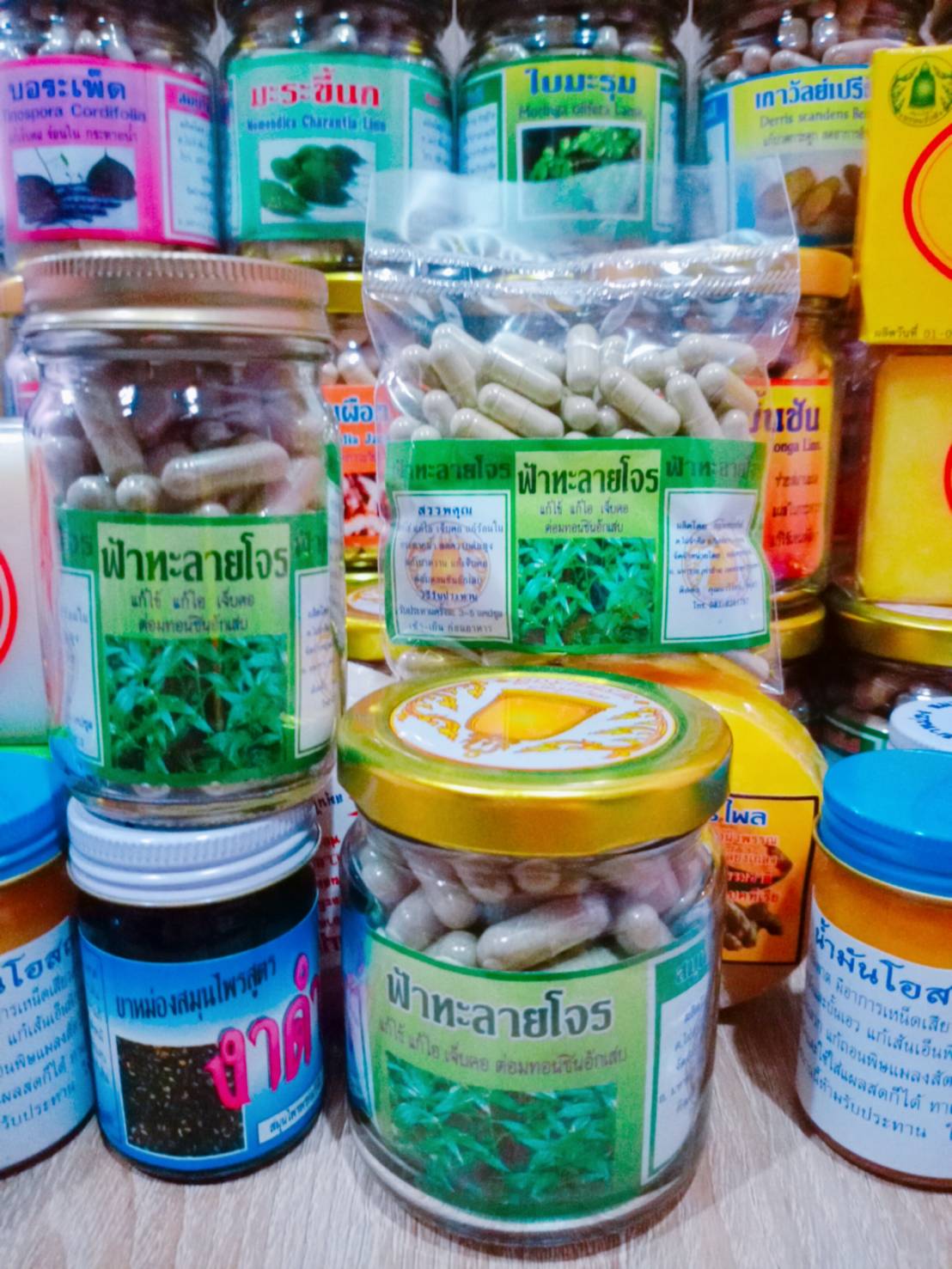 ฟ้าทะลายโจร สมุนไพรพรหมรังสี