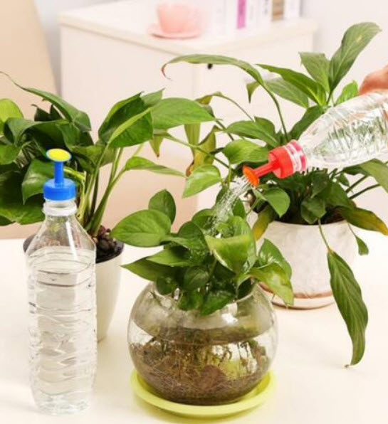 หัวฝักบัวจิ๋ว / ชุด 3 หัว (ราคาลดพิเศษ)