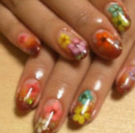 ตลับดอกไม้แห้งจริงแต่งเล็บ 3 มิติ / ตลับ 12 สี (นอก)