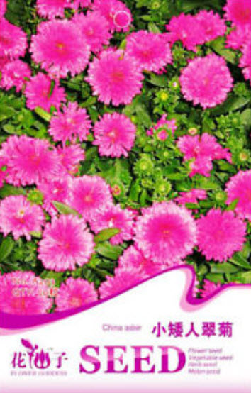 แอสเตอร์ (Aster) สีชมพู / ซอง 50 เม็ด (A203)