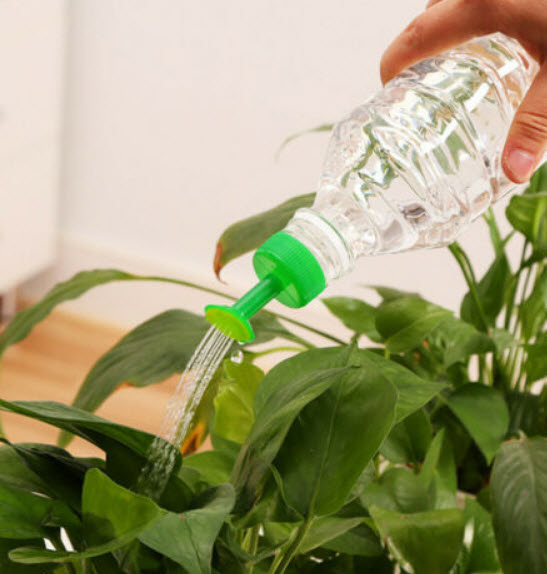 หัวฝักบัวจิ๋ว / ชุด 3 หัว (ราคาลดพิเศษ)