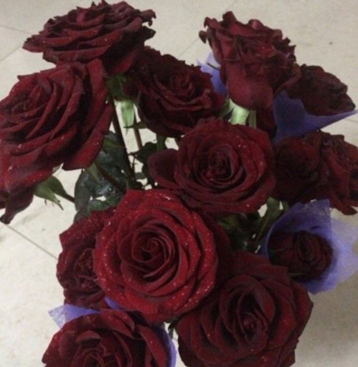 กุหลาบสีแดงเลือด (Blood Rose) / 20 เม็ด (China)