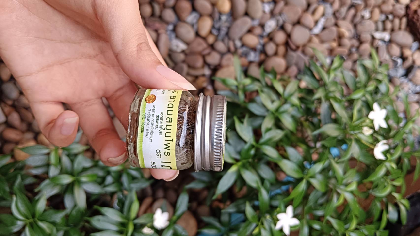 ยาดมสมุนไพร เฌอเอม