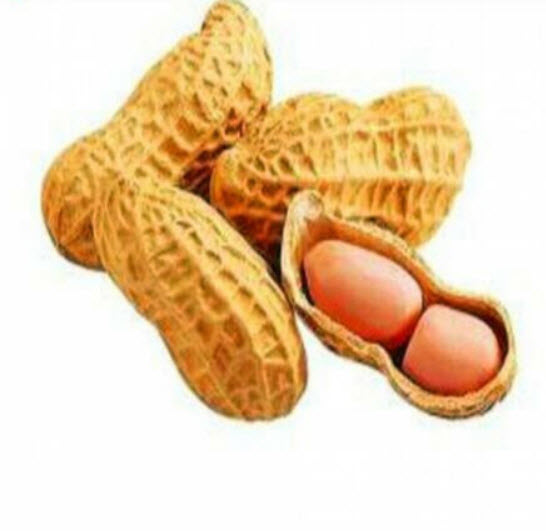 ถั่วลิสง (Groundnut Peanut) คละ / 10 เม็ด (นอก)