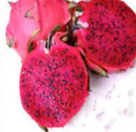 แก้วมังกรแดง (Red Pitaya) แดง เนื้อแดง / 50 เม็ด (นอก)