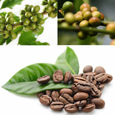 กาแฟ ฮาวาเอียน โคน่า (Hawaiian Kona Coffee) / 100 เม็ด