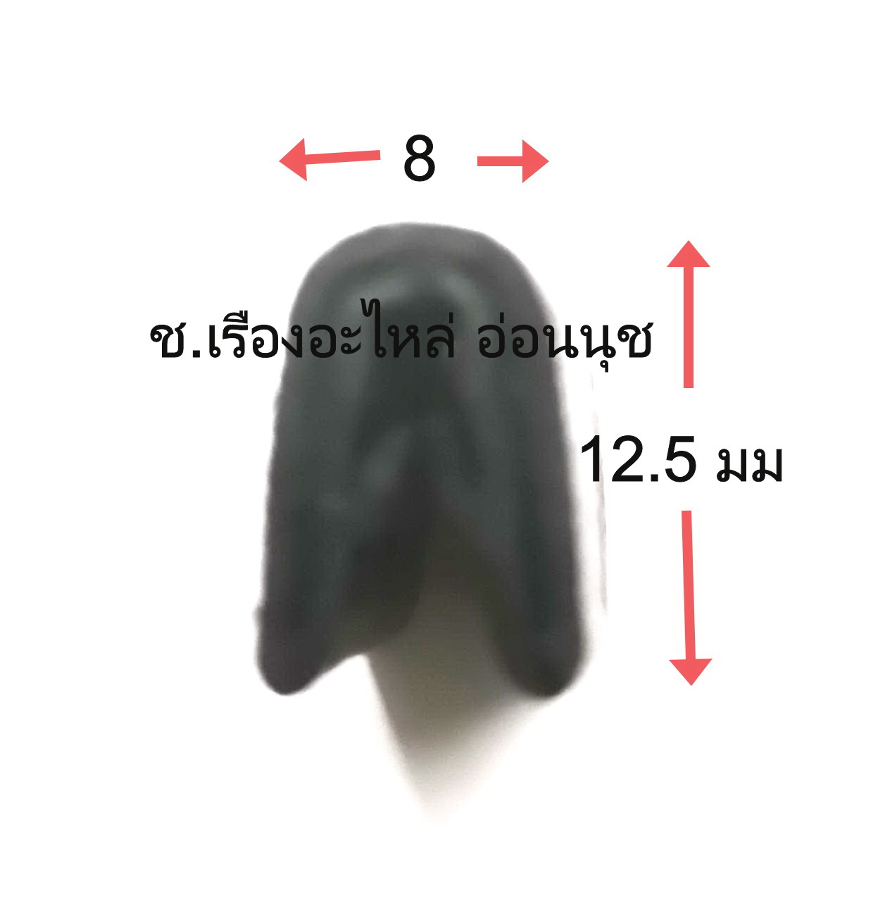 กระดูกงูขนาดกลาง 4 ม ส่งฟรี