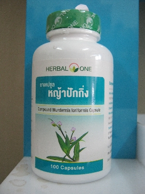 หญ้าปักกิ่ง