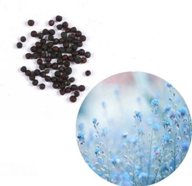 สตาร์ ฟลาวเวอร์ (Star Flower) สีฟ้า / 25 เม็ด (นอก)