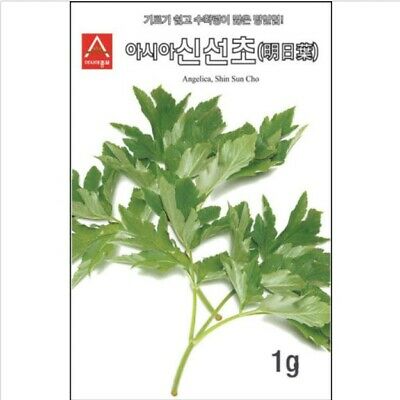 หน่อไม้น้ำ หรือ Ashitaba /20 เม็ด (Korea)