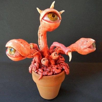 กาบหอยแครง ตายักษ์ (Dionaea) คละแบบ / 100 เม็ด