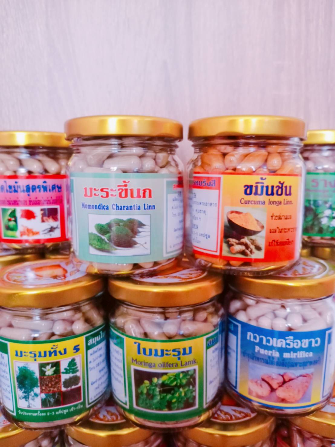 มะระขี้นก พรหมรังสี