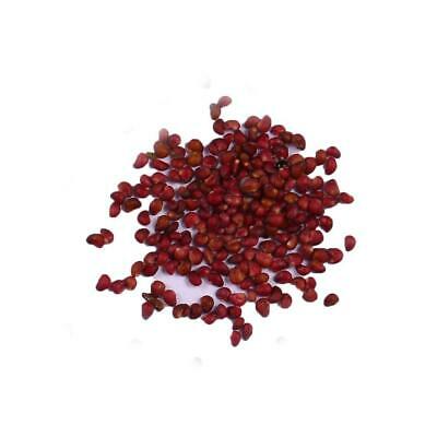 ไฮเดรนเยีย (Hydrangea) วานิลลา-สตรอเบอรี่ / 20 เม็ด