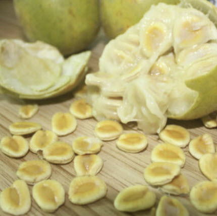 หล่อฮังก๊วย (Luo Han Guo / Siraitia Grosvenori) / 5 เม็ด (China)