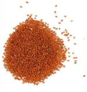 หูกระต่าย สีเขียว / 100 เม็ด