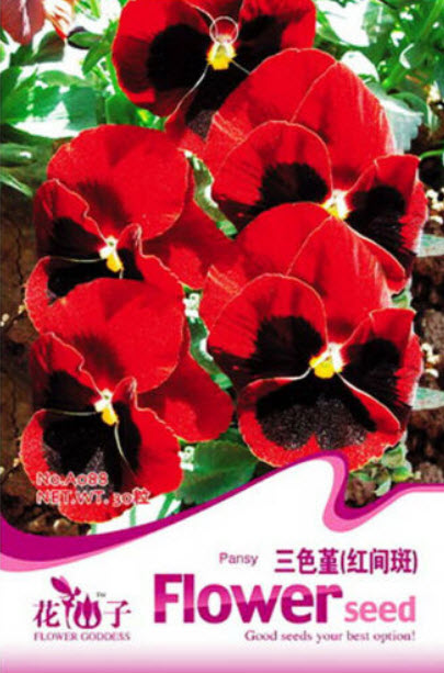 แพนซี เรดสป็อท (Pansy Red Spot) / 50 เม็ด (A088)