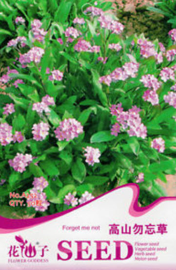 ฟอร์เก็ตมีน็อท (Forget Me Not) สีชมพู / ซอง 50 เม็ด (A252)