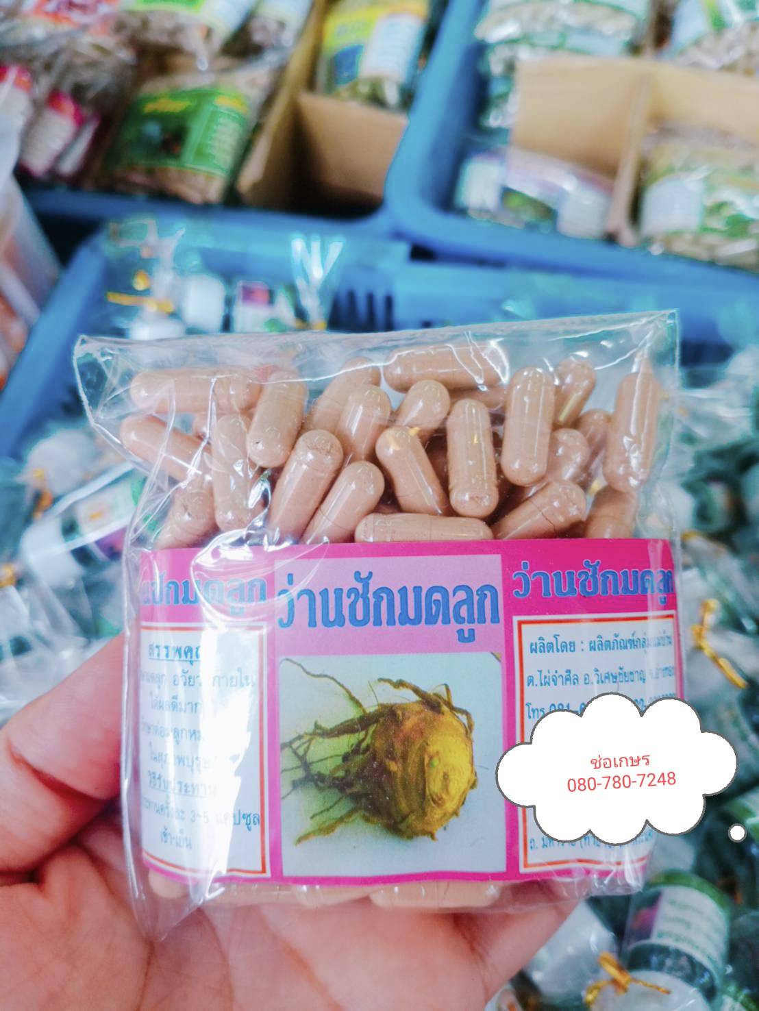 ว่านชักมดลูก สมุนไพรพรหมรังสี