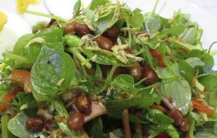 ผักสลัดใบสดกระสัง / แพ็ค