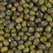 เนโมฟีลา - เบบี้ บลู อาย (Nemophila - Baby Blue Eyes) / 200 เม็ด (UK)